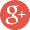 access to Google+